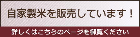 自家製米を販売しています！　詳しくはこちらのページを御覧ください
